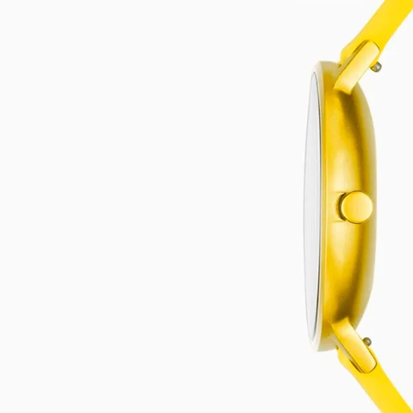 Ceas de mână unisex Skagen SKW6557 Cuarț/ 41 mm photo 2 Ceas de mână unisex Skagen SKW6557 Cuarț/ 41 mm photo 2