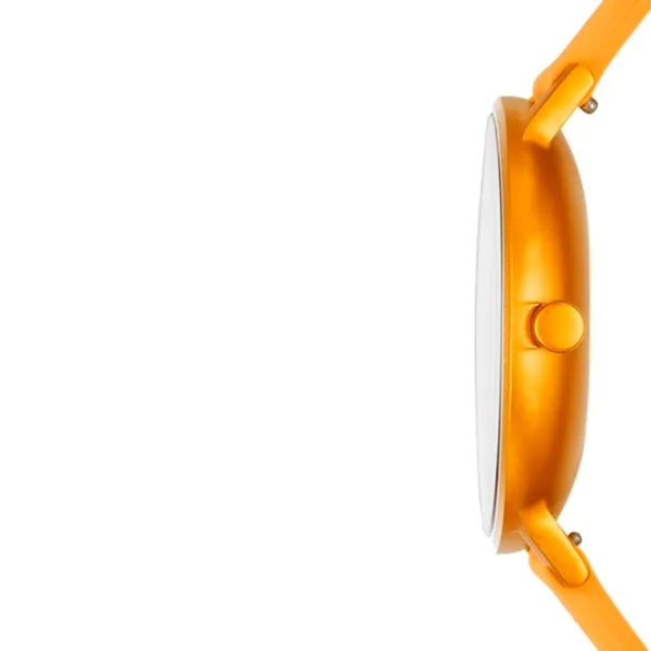 Наручные часы унисекс Skagen SKW6510 Кварцевый/ 41 мм photo 2