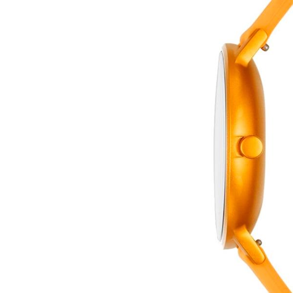 Наручные часы унисекс Skagen SKW6510 Кварцевый/ 41 мм photo 2