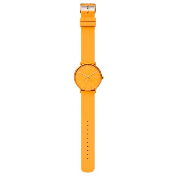 Наручные часы унисекс Skagen SKW6510 Кварцевый/ 41 мм photo 3