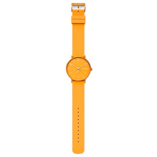 Наручные часы унисекс Skagen SKW6510 Кварцевый/ 41 мм photo 3