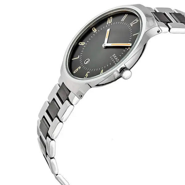 Ceas de mână pentru bărbați Skagen SKW6523 Cuarț/ 38 mm photo 2 Ceas de mână pentru bărbați Skagen SKW6523 Cuarț/ 38 mm photo 2