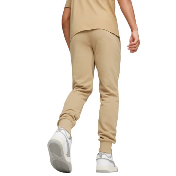 Спортивные брюки для мужчин Puma Power Graphic Sweatpants Tr Cl M/ Prairie Tan photo 5