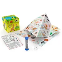 Настольная игра Noriel NOR4185 5+/ Развитие photo 2