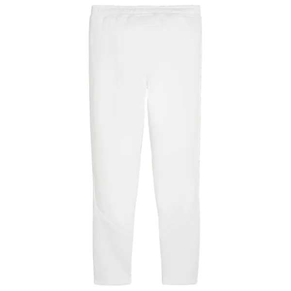 Спортивные брюки для мужчин Puma Evostripe Pants Dk S/ Белый photo 2
