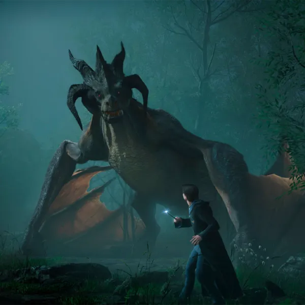 Hogwarts Legacy Game for Nintendo Switch photo 5