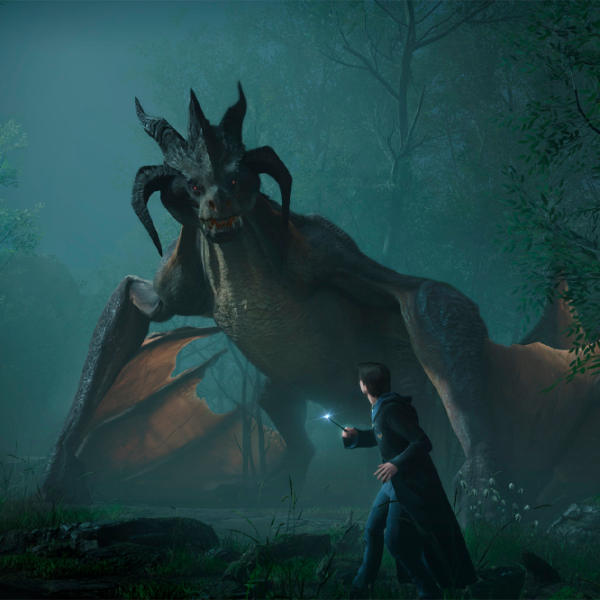 Hogwarts Legacy Game for Nintendo Switch photo 5