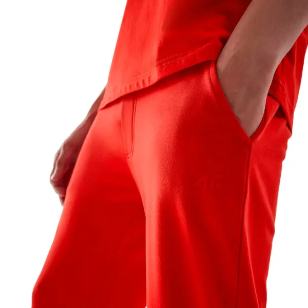 Спортивные брюки для мужчин 4F joggers sweatpants L/ Красный photo 4