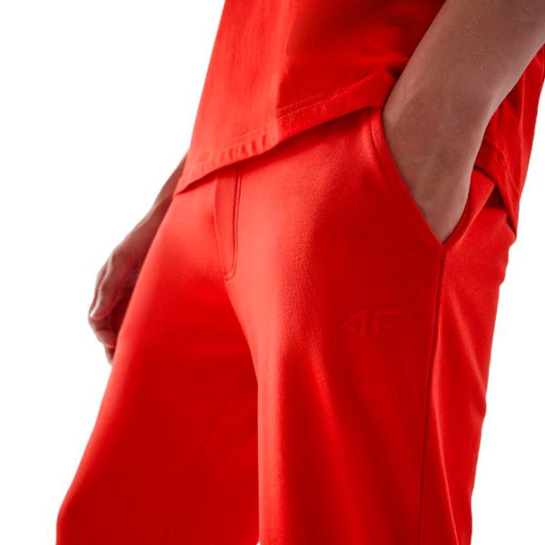 Спортивные брюки для мужчин 4F joggers sweatpants L/ Красный photo 4
