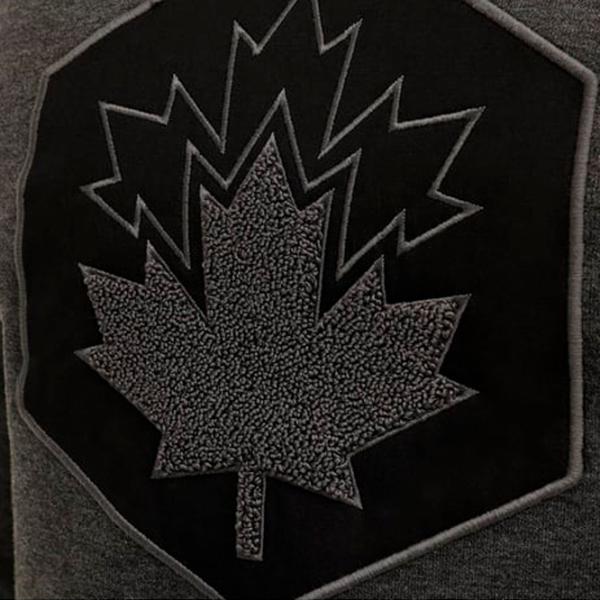 Hanorac pentru bărbați Lumberjack 3W ML ARON 16SD4001 3PR Drept/ Anthracite photo 3