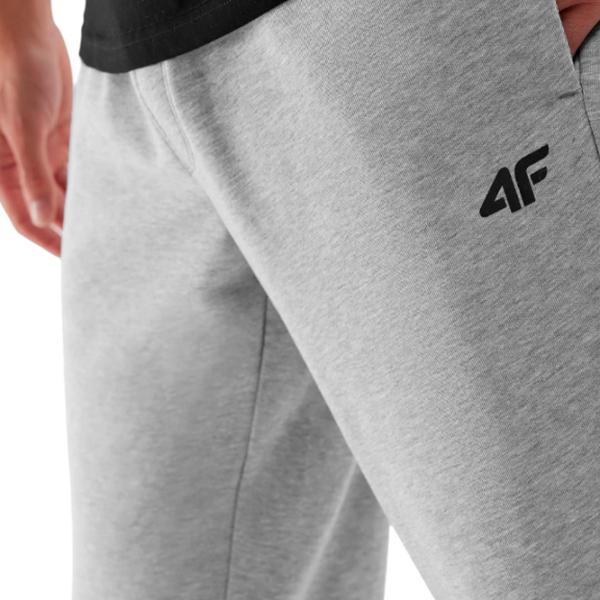 Спортивные брюки для мужчин 4F 4FAW23TTROM451-27M XXL/ Серый photo 4