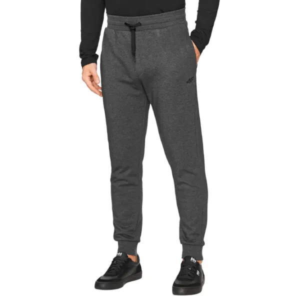 Pantaloni sportivi pentru bărbați 4F 4FAW23TTROM452-23M M/ Gray photo 2