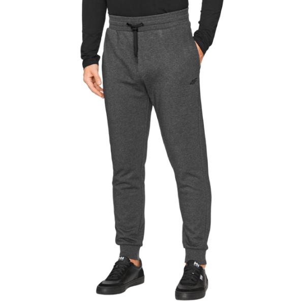 Pantaloni sportivi pentru bărbați 4F 4FAW23TTROM452-23M M/ Gray photo 2