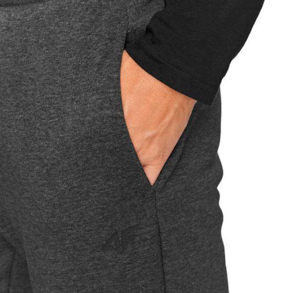 Pantaloni sportivi pentru bărbați 4F 4FAW23TTROM452-23M M/ Gray photo 5