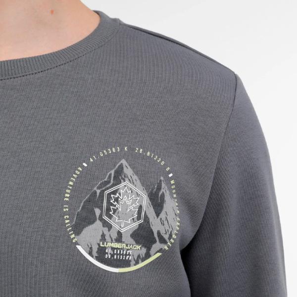 Hanorac pentru bărbați Lumberjack ML NATURELY 16CG700 3PR Drept/ Anthracite photo 5