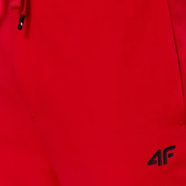 Спортивные брюки для мужчин 4F 4FAW23TTROM452-62S S/ Красный photo 5