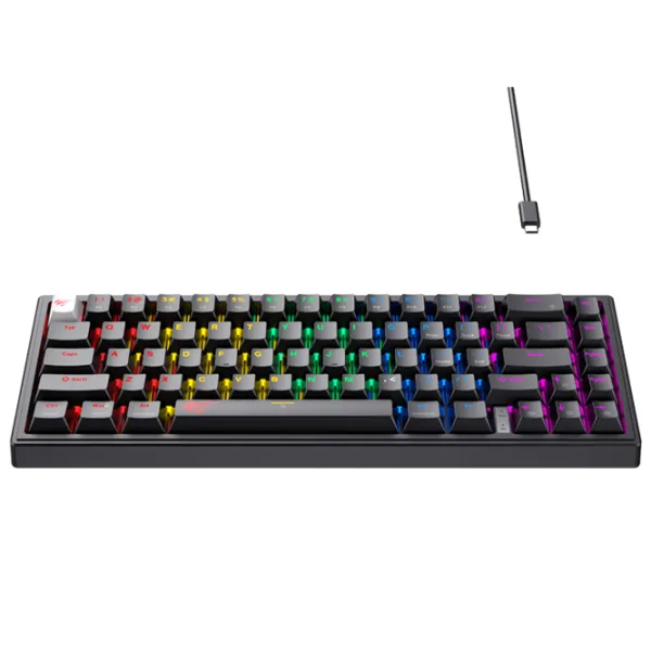 Клавиатура Havit KB874L Беспроводные + Проводные/ Черный photo 2
