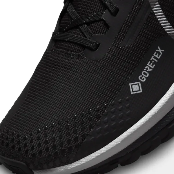 Кроссовки для мужчин Nike Pegasus Trail 4 GORE-TEX 47/ Черный photo 8