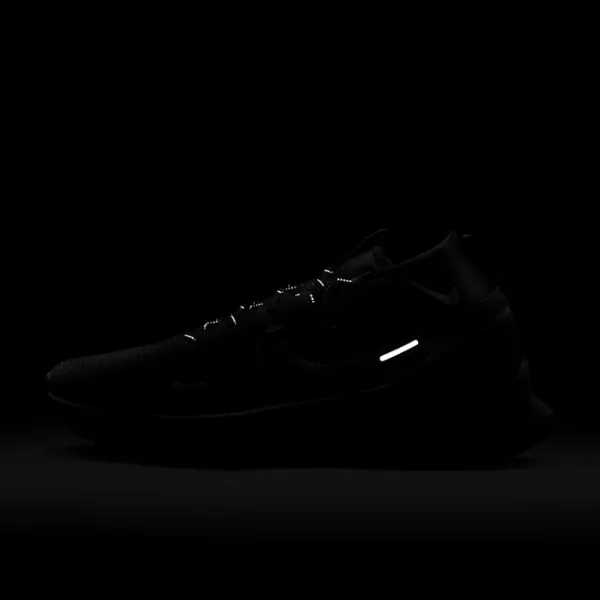 Кроссовки для мужчин Nike Pegasus Trail 4 GORE-TEX 47/ Черный photo 12