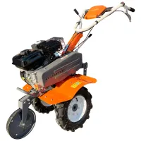 Motocultor Technoworker HB 700 S + 5 accesorii (VOR58545) 4 timpi/ Benzină photo 2