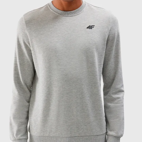 Hanorac pentru bărbați 4F 4FWSS24TSWSM1181 Drept/ Grey photo 6