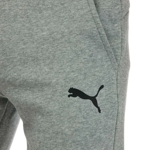 Pantaloni sportivi pentru bărbați Puma Ess Logo Pants Fl Cl Puma XL / Gray photo 5