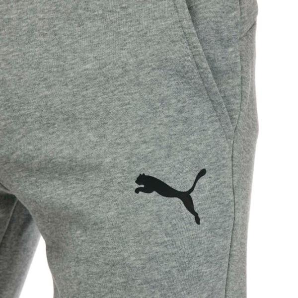 Pantaloni sportivi pentru bărbați Puma Ess Logo Pants Fl Cl Puma XL / Gray photo 5