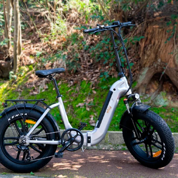 Электровелосипед SkyJet RV10 Plus 20" Серый photo 5