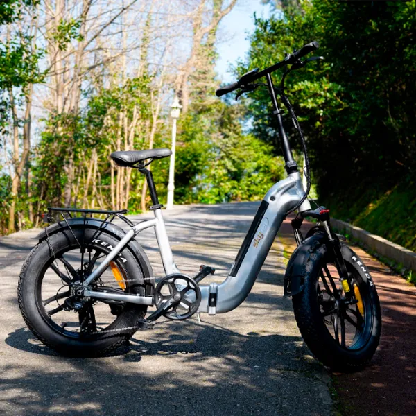 Электровелосипед SkyJet RV10 Plus 20" Серый photo 6