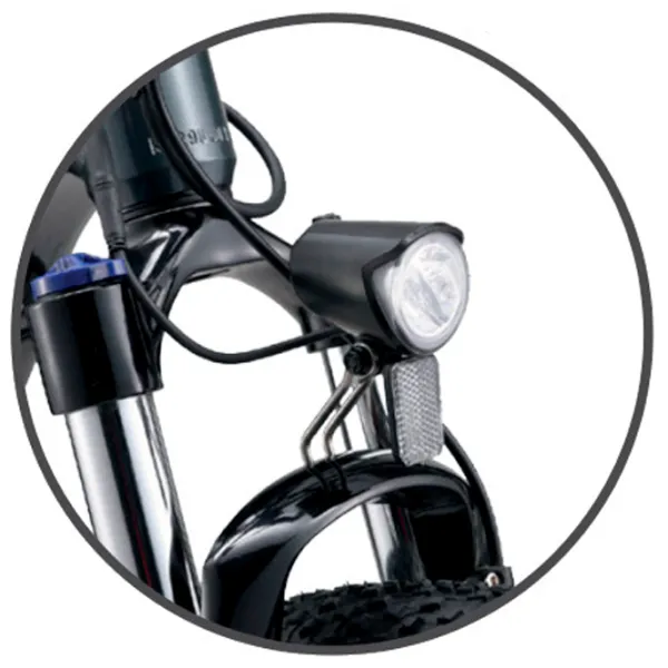 Bicicletă electrică ApeRyder Buffalo-F 26" Gray photo 2 Bicicletă electrică ApeRyder Buffalo-F 26" Gray photo 2