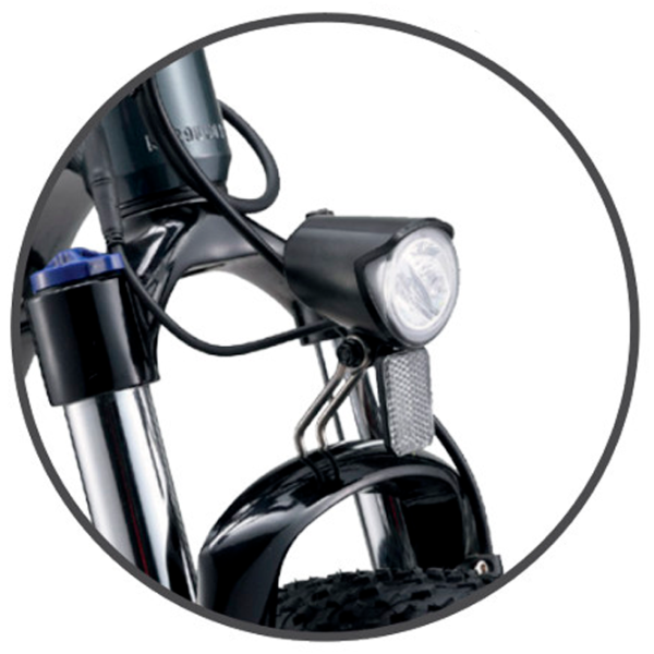 Bicicletă electrică ApeRyder Buffalo-F 26" Gray photo 2 Bicicletă electrică ApeRyder Buffalo-F 26" Gray photo 2