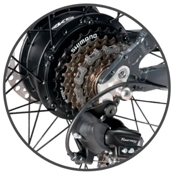 Bicicletă electrică ApeRyder Buffalo-F 26" Gray photo 3 Bicicletă electrică ApeRyder Buffalo-F 26" Gray photo 3