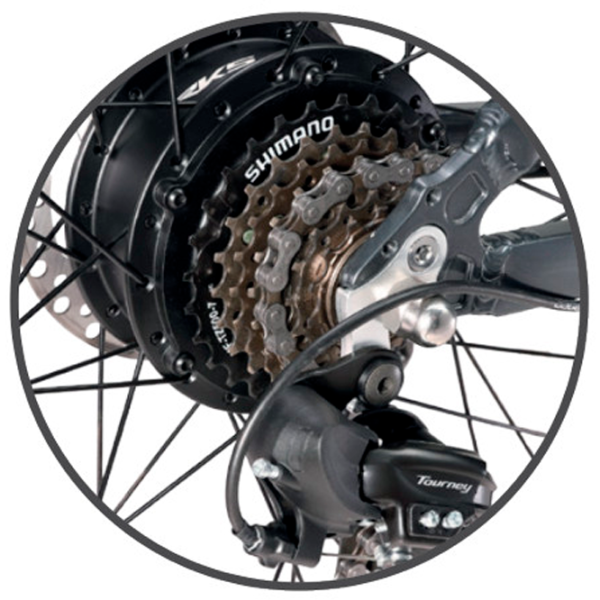 Bicicletă electrică ApeRyder Buffalo-F 26" Gray photo 3 Bicicletă electrică ApeRyder Buffalo-F 26" Gray photo 3