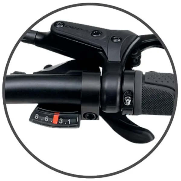 Bicicletă electrică ApeRyder Buffalo-F 26" Gray photo 4 Bicicletă electrică ApeRyder Buffalo-F 26" Gray photo 4