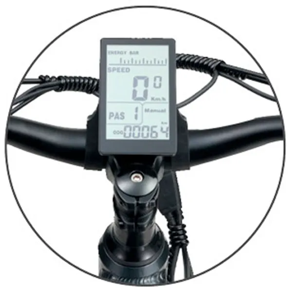 Bicicletă electrică ApeRyder Buffalo-F 26" Gray photo 5 Bicicletă electrică ApeRyder Buffalo-F 26" Gray photo 5