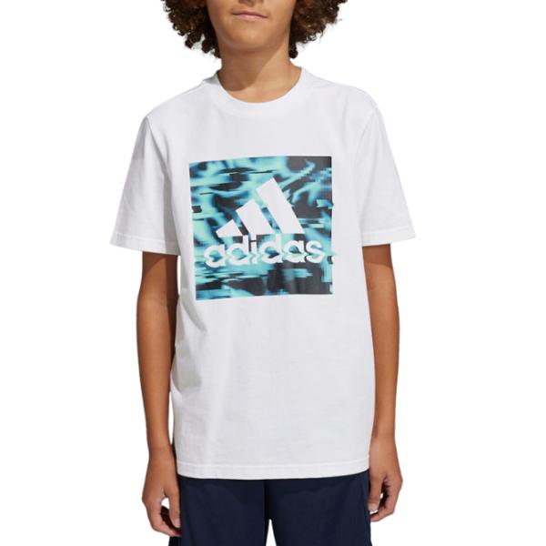 Футболка для мальчиков Adidas U Akd Gt 152/ Белый photo 3 Футболка для мальчиков Adidas U Akd Gt 152/ Белый photo 3