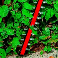 Mașină de tuns gard viu Einhell ARCURRA PXC SOLO Red photo 5