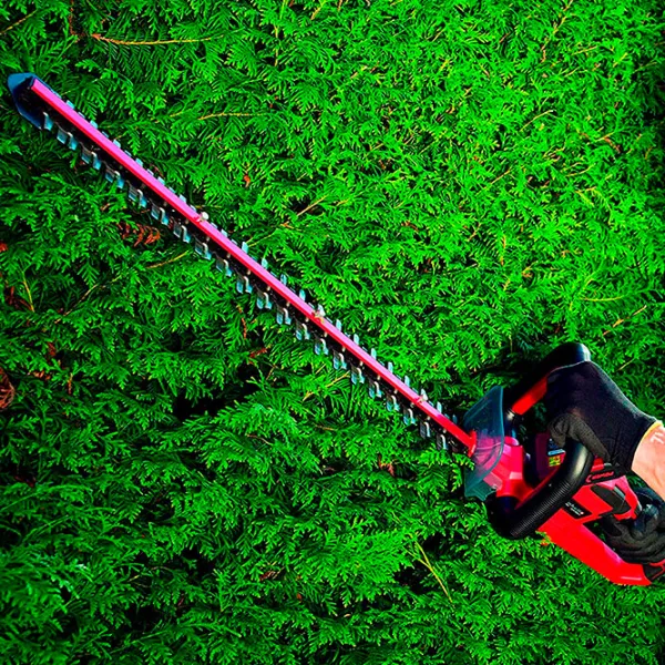 Mașină de tuns gard viu Einhell ARCURRA PXC SOLO Red photo 6