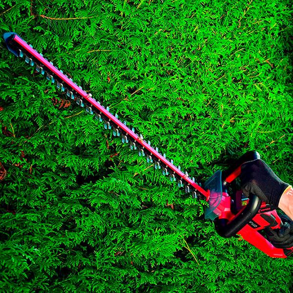 Mașină de tuns gard viu Einhell ARCURRA PXC SOLO Red photo 6