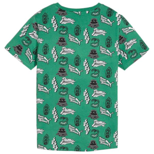 Футболка для мальчиков Puma Ess+ Mid 90S Aop Tee B 176/ Зелёный photo 2