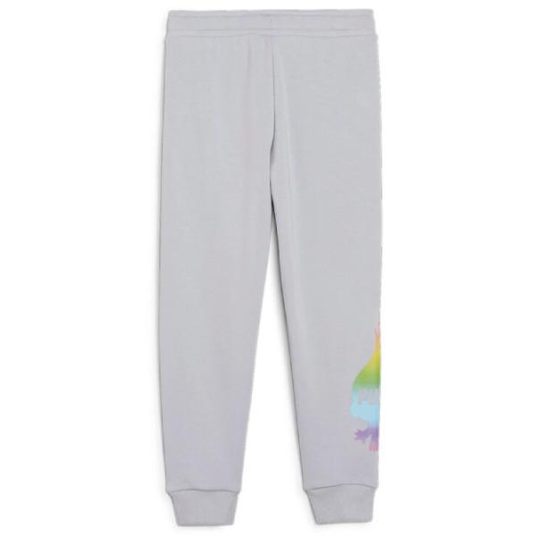 Pantaloni sportivi pentru băieți Puma X Trolls Sweatpants Tr 110/ Gray photo 2