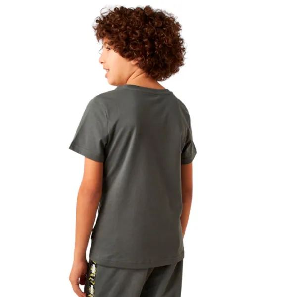 Футболка для мальчиков Puma Ess+ Camo Logo Tee B 176/ Серый photo 5