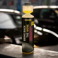 Lichid de parbriz KARCHER RM 672 6.296-110.0 Vară/ 250 ml/ Fără miros photo 2