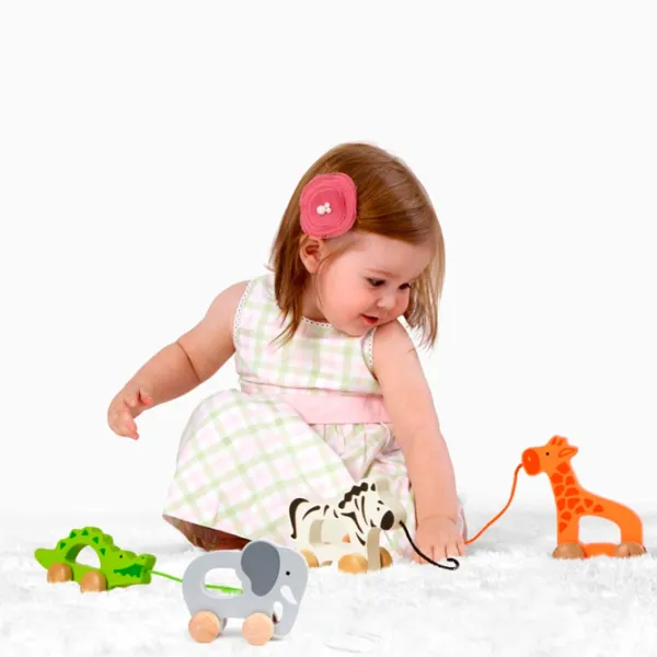 Игрушка каталка Hape E0908A 1+/ Серый photo 2