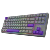 Клавиатура Hator Rockfall 2 Mecha TKL Authentic Edition Проводная/ Титан photo 2
