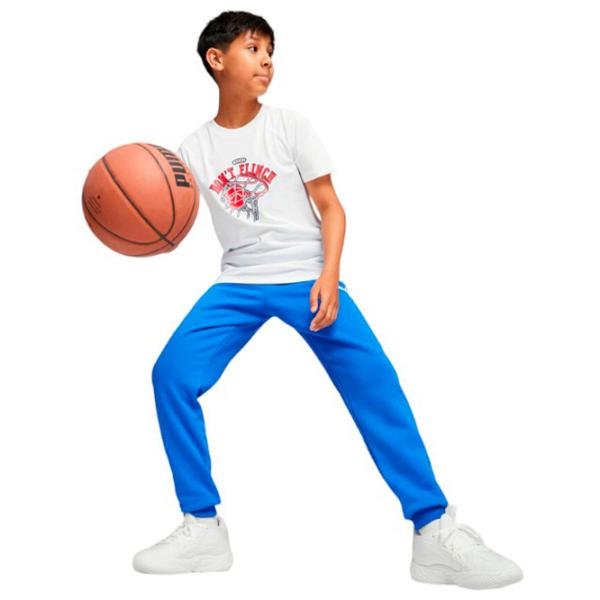 Футболка для мальчиков Puma Basketball Graphic Tee B 140 / Белый photo 3 Футболка для мальчиков Puma Basketball Graphic Tee B 140 / Белый photo 3