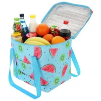 Сумка-холодильник Enero Camp Fruit Melon 28 л/ Синий photo 4