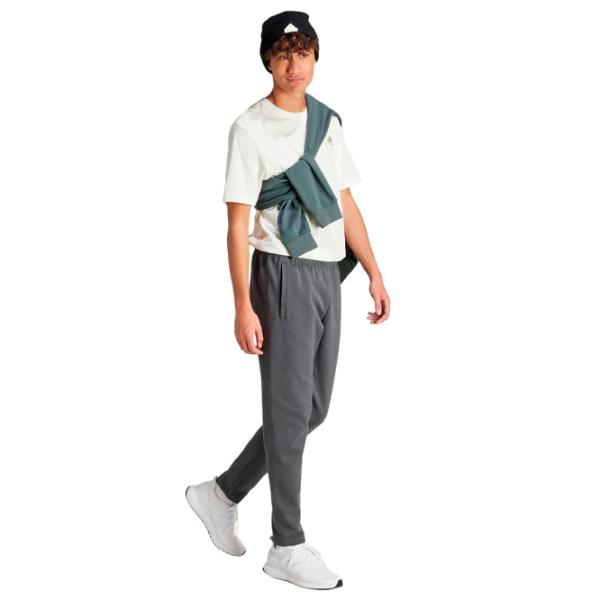 Pantaloni sportivi pentru bărbați Adidas M Fi Bos Pt legend XXL/ Gray photo 4