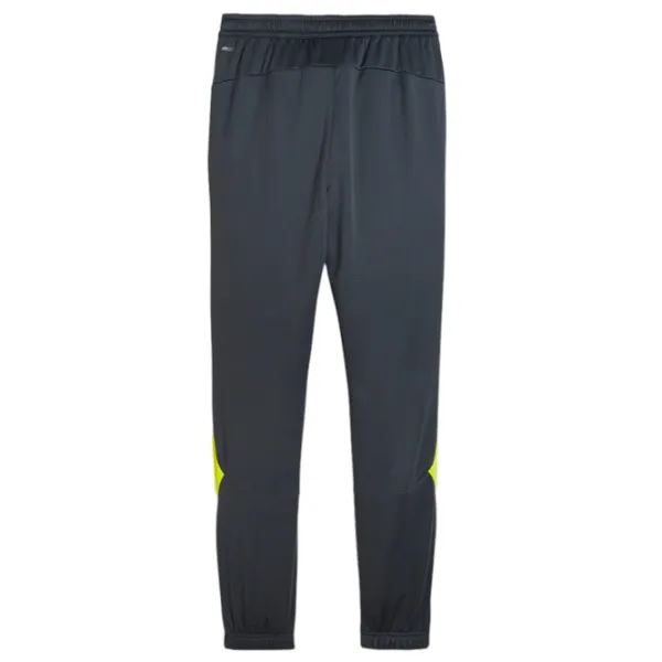 Спортивные брюки для мужчин Puma King Pro Training Pants Strong M/ Серый photo 2