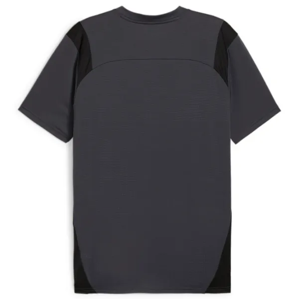 Tricou pentru bărbați Puma King Pro Jersey 14% elastan/ Gray photo 2